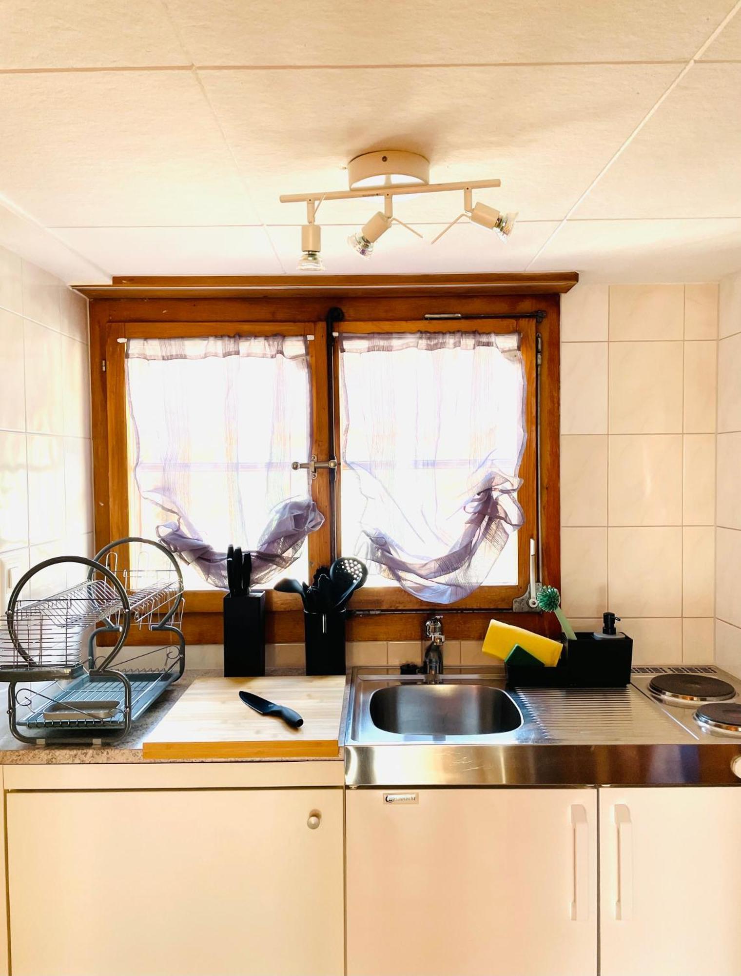 Charming, Well-Equipped Alpine Apartment Kandersteg Buitenkant foto