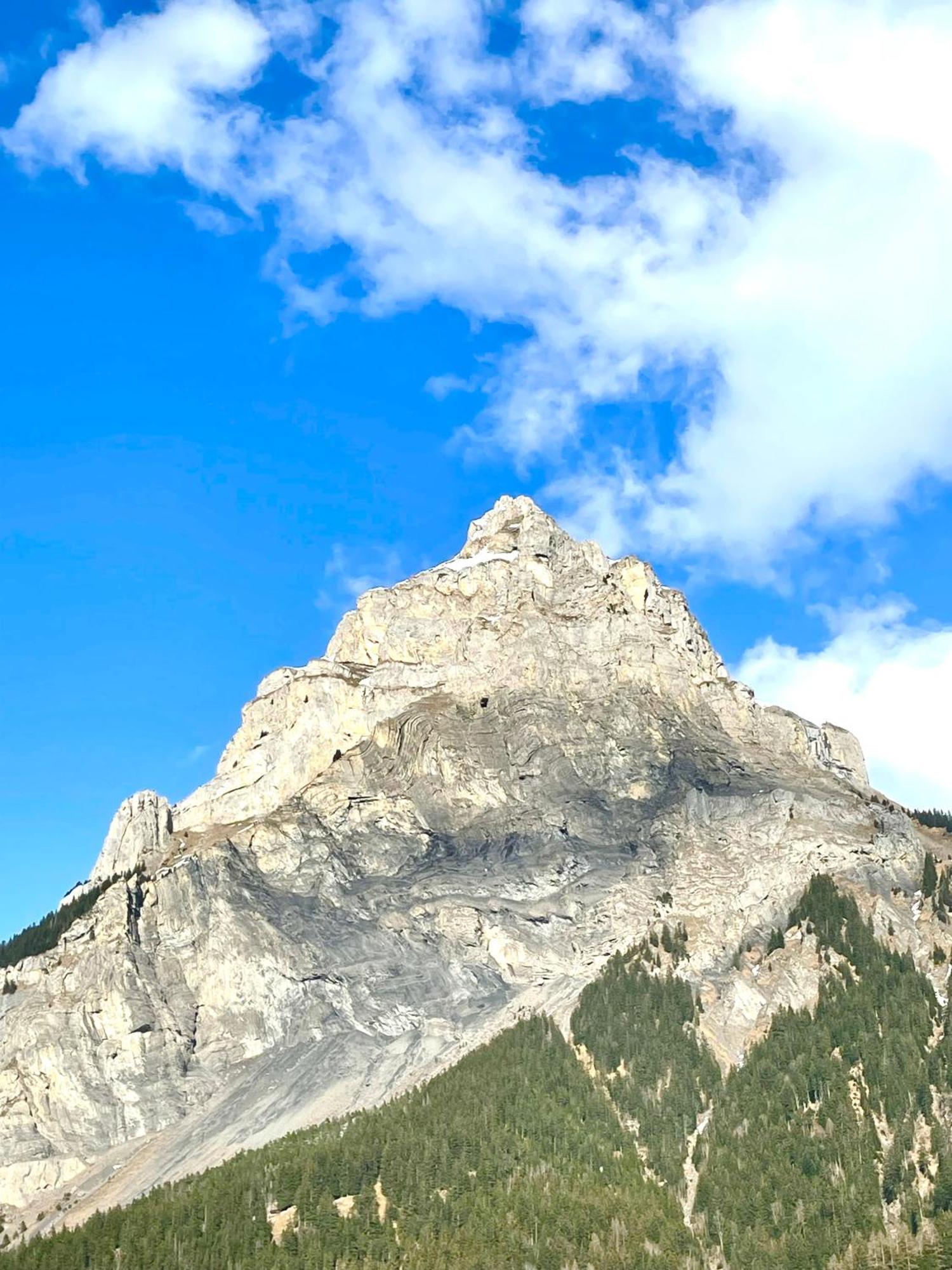 Charming, Well-Equipped Alpine Apartment Kandersteg Buitenkant foto